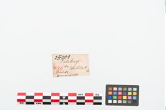 Etiketten zu Bronzemehrkopfnadel (NHMW-PRAE-025008)